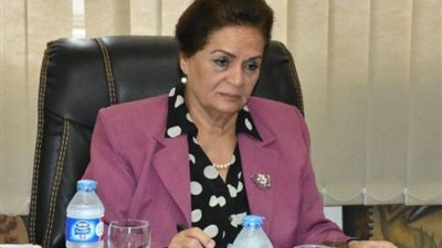 محافظة البحيرة: توريد 263 ألفا و495 طن قمح