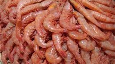 الجمبري الجامبور يشعل سوق العبور.. و«بلطي الغلابة» بـ 24 جنيها 