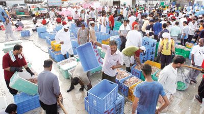 غرفة القاهرة: قرار رفع الجمارك للأسماك سيغطي حاجة السوق لـ8 أشهر
