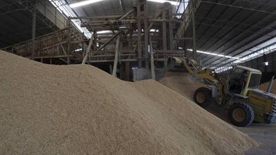 10 مليون جنيه صافى أرباح «مطاحن جنوب القاهرة» خلال مايو