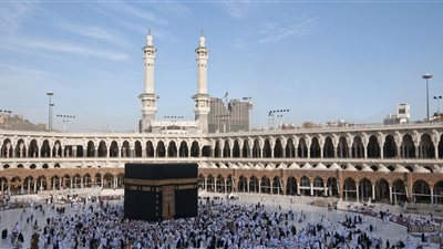 «العليا للحج» تطالب الدولة بإسناد الحج بالكامل لـ«السياحة» 