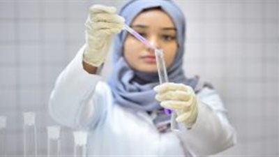 265 درجة حدًا أدنى للقبول فى مدارس التمريض بشمال سيناء