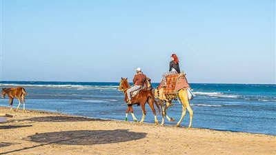 90% نسبة إشغال سياحي متوقعة بالبحر الأحمر خلال الصيف