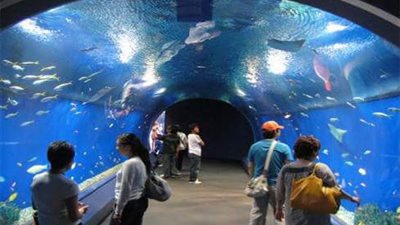 متاحف تستحق الزيارة خلال أيام العيد بالغردقة