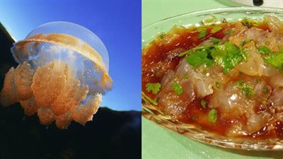 الحاجة أم الاختراع.. الشعب «يطبخ» القناديل 