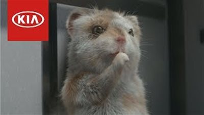  شاهد.. إعلان كوميدي لكيا سول