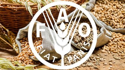 «الفاو» تثني على خطوات مصر في مشروع 1.5 مليون فدان