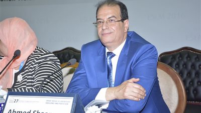 المنصورة تستضيف مهرجان «ألمانيا في الدلتا»