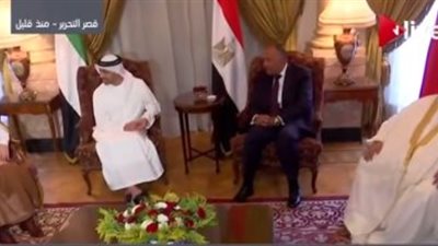 بدء الاجتماع الرباعي العربي للرد على قطر