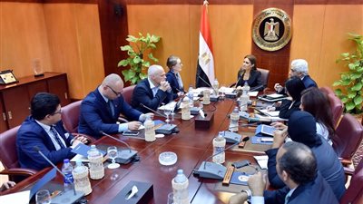 «الاستثمار» تناقش زيادة الاستثمارات البولندية في مصر