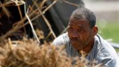 مصر توقف دعم الدقيق وتقلص واردات القمح بما يصل إلى 10%