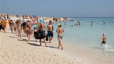 «سياحة الصعيد» تطرح 4 حلول للخروج من موقف حادث الغردقة 