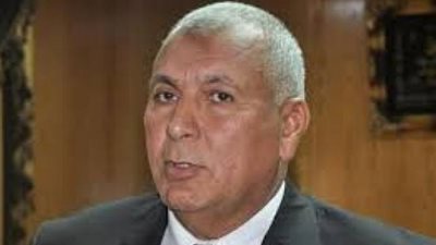 «محافظ الوادي الجديد» يؤكد على ضرورة تدريب القيادات المحلية