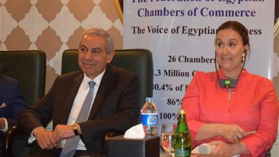 قابيل: إنشاء مجلس أعمال مصرى أرجنتينى مشترك