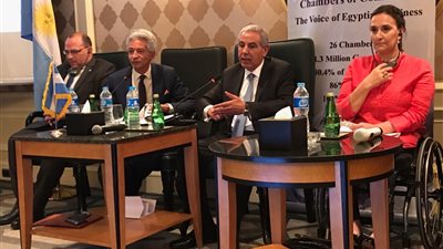 نائب الرئيس الأرجنتيني: اخترنا مصر لتكون شريكا استراتيجيا لنا 