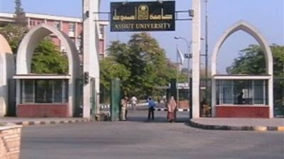 «جامعة أسيوط »تعلن نسبة النجاح لكلية الصيدلة وإعداد الطلاب الأوائل
