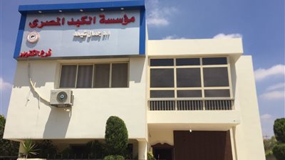 السبت.. جمال شيحة يفتتح فرعي «الكبد المصرى» بالأميرية و6 أكتوبر