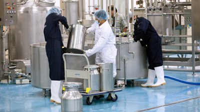 مصنع ألبان يهدر كميات كبيرة.. تعرف على السبب