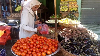 كيلو البطاطس بـ3.5 جنيه.. والكوسة بـ6.5