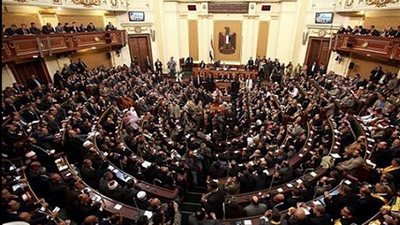 رئيس النواب في معهد ناصر