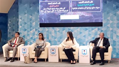 وزيرة الاستثمار: نعمل على جذب الاستثمارات الأجنبية لدعم الاقتصاد المصري
