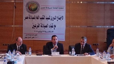 بالصور.. «نقيب الصيادلة» يتقدم بمذكرة لـ«الرئاسة» حول أزمة الأدوية منتهية الصلاحية