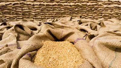«التموين» تتعاقد على شراء 420 ألف طن قمح
