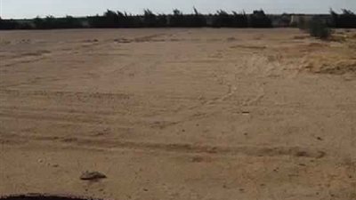 «مستثمري سوهاج»: إنشاء 408 مصانع جديدة بعد قرار الرئيس