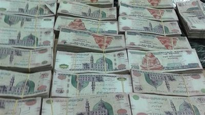 بالصور..إحباط تهريب «800 ألف جنيه» بمطار برج العرب 