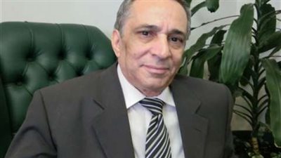 خبير اقتصادي: الاحتياطي الأجنبي يغطي 8 أشهر من الواردات السلعية