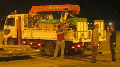 بالصور.. مصر للطيران تنقل 3 دلافين حية إلى بيروت