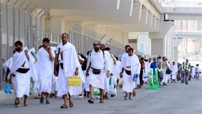 قريبا.. لجنة من السياحة في «العقبة» للإشراف على الحجاج