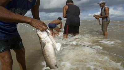 بالفيديو.. الزراعة: السعودية لم توقف استيراد السمك بشكل نهائي 