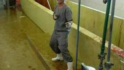 بالصور.. مجزر لذبح وسلخ «الحمير».. و«عامل» يلتقط سيلفي