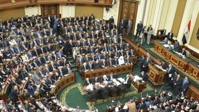 عضو بالنواب: وزير الزراعة لا يعلم شيئًا عن العاملين بوزارته