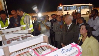 بالصور.. استقبال رسمي لـ«كتاكيت إنجليزية» بمطار أسوان الدولي