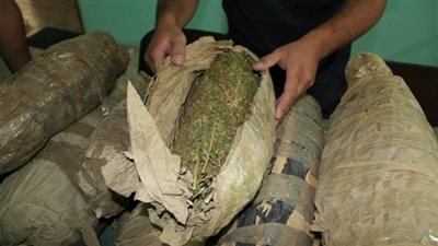 ضبط 268 قضية مخدرات و5 تشكيلات عصابية خلال 24 ساعة