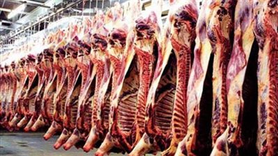 «الزراعة» تشدد التفتيش على أسواق اللحوم استعدادا لعيد الأضحى