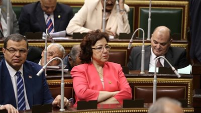 نائبة بالبرلمان: تـونـس تطبق دينًا جديدًا يخالف الإسلام