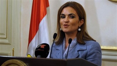 الحكومة: 8.7 مليار دولار زيادة في الاستثمارات الأجنبية المباشرة خلال عام