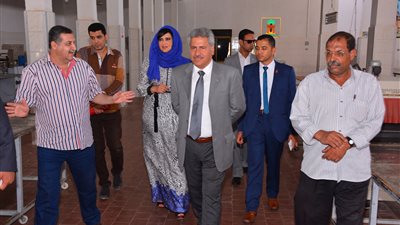 خبراء: الوادي الجديد يحتاج لشركات ترويج إلكتروني دولية