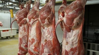 محافظ أسيوط: طرح لحوم عيد الأضحى بأسعار مخفضة