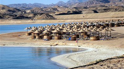 «أربيان العقارية»: 30 مليون دولار تكلفة تنفيذ «ريفا مرسى علم»