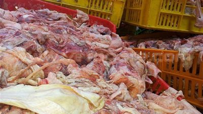 ضبط 8 طن هياكل دواجن فاسدة بـ«السلام»