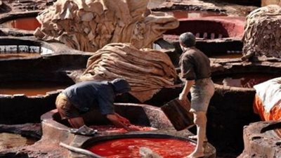 توقعات بانخفاض أسعار الجلود مع اقتراب عيد الأضحى