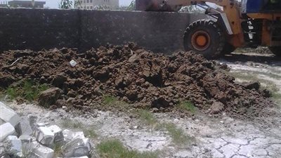 «كفر الدوار»: إزالة 26 حالة تعدٍ على الأرض الزراعية بمساحة 3500 متر 