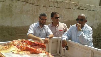 ضبط 2 طن لحوم «فاسدة» بالإسكندرية