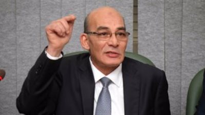 «الزراعة»: 250 مليون جنيه استثمارات مشروع الانتاج الحيوانى بـ«كفر الشيخ»