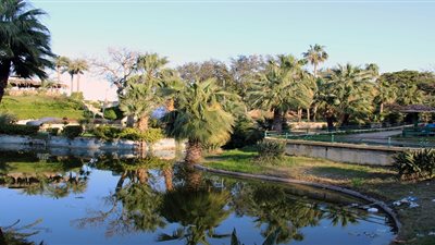 «الإسكندرية» تنهى تطوير حدائق الشلالات استعداداً لعيد الأضحى 