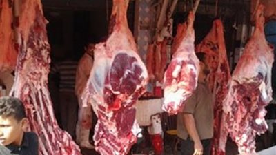 طرح ٢٢ ألف طن لحوم مجمدة بسعر ٦٠ جنيها للكيلو بالمجمعات